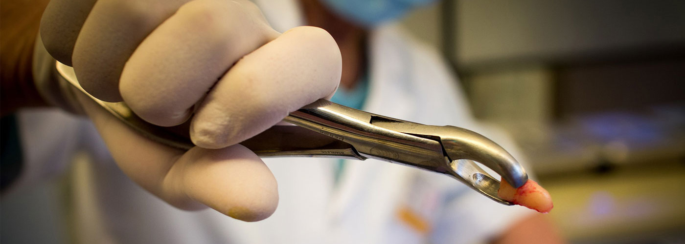 slider dental clinic sola image1